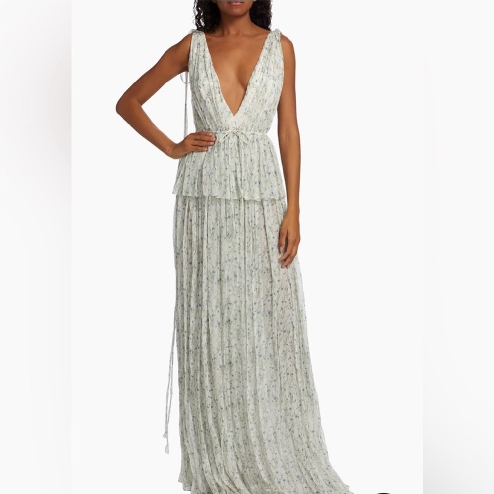 *NEW NEVER WORN* Adam Lippes — Dendur Floral Drawstring Gown
